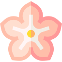 sakura icon