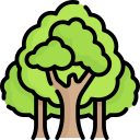 Árbol icon