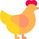 gallina icon