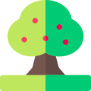 Árbol de frutas icon