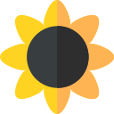 girasol icon