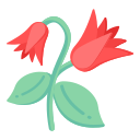 campanilla icon