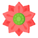 dália 