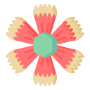 cravo 