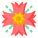 cravo 