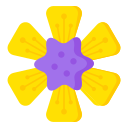 cravo 