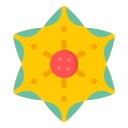 cravo 