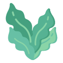 lechuga icon