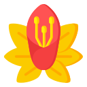 hibisco icon