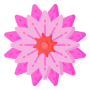 zinnia icon