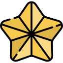 estrella icon