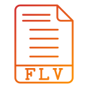 flv icon