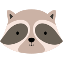 mapache icon