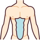 abdominal icon