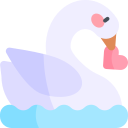 cisne 