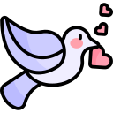 pomba 