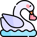 cisne 