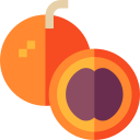 mono naranja icon