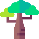 baobab icon