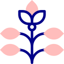 diseño floral icon