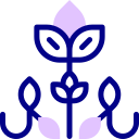 diseño floral icon