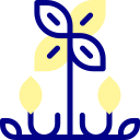 diseño floral icon