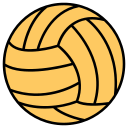 pelota de voleibol 