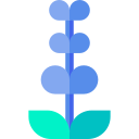 lavanda icon