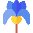 iris icon