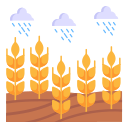 lluvia icon