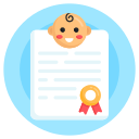 certificado icon