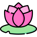 flor de loto icon