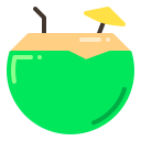 bebida de coco icon