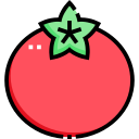 tomate icon