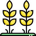 trigo icon