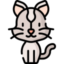 gato icon