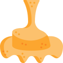 caramelo icon