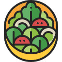 ensalada icon