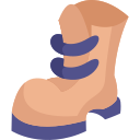 bota icon