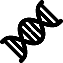 DNA strand icon