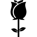 rosa icon