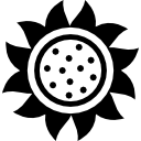 girasol icon