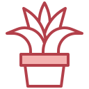 aloe vera icon