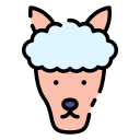 alpaca icon