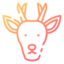 huemul 