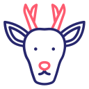 huemul 