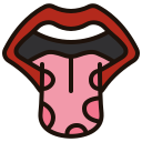 lengua icon