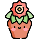 Gerbera 