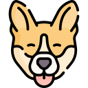 corgi icon