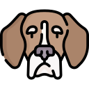 beagle icon